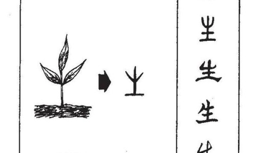 海参氨糖疗法与骨关节健康-海参氨糖胶囊禁忌网—知名的海参氨糖胶囊的功效和作用网站,分享海参氨糖胶囊知识