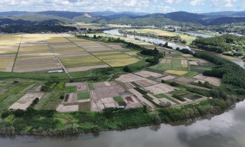 海参氨糖疗法与骨关节健康-海参氨糖胶囊禁忌网—知名的海参氨糖胶囊的功效和作用网站,分享海参氨糖胶囊知识